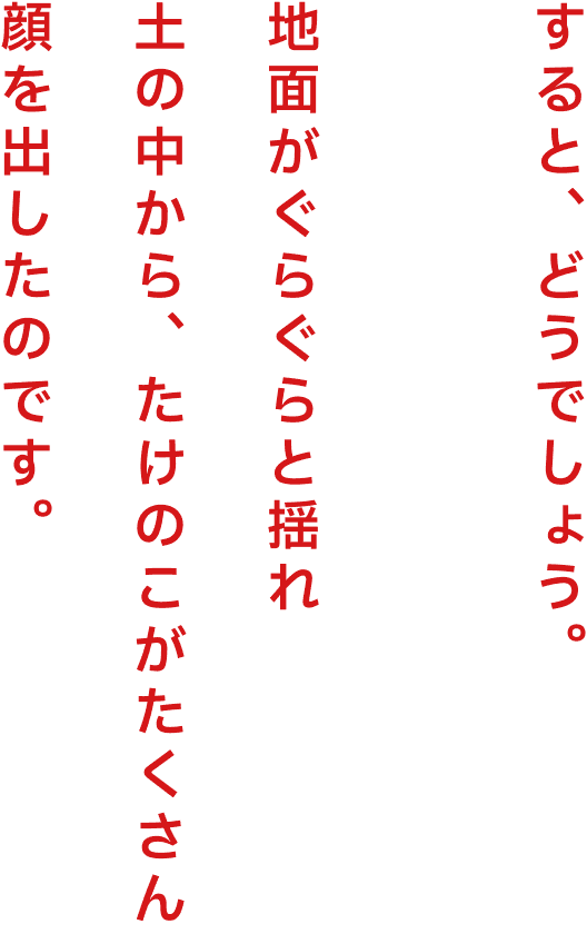  すると、どうでしょう。地面がぐらぐらと揺れ土の中から、たけのこがたくさん顔を出したのです。