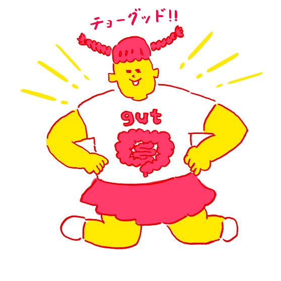 麻竹からメンマになるまで数ヶ月